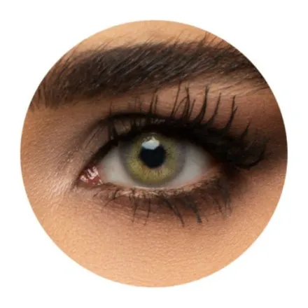 turquaz Muse By Turquaz Contact Lenses 1+1 | توركواز عدسات لاصقة 1+1